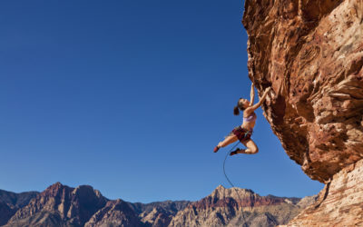 Five characteristics you need to run a business