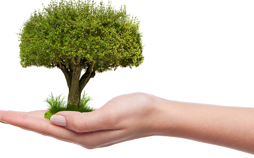 How to work with a VA to get your coaching business 2020 ready