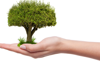 How to work with a VA to get your coaching business 2020 ready